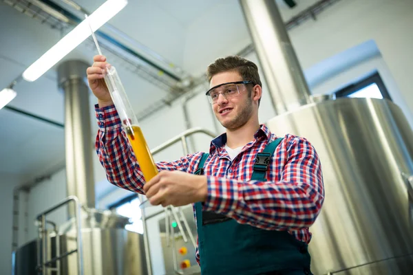 Brewer testing beer — Stock Photo, Image