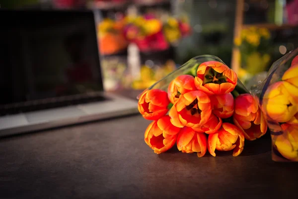 Primo piano del fiore di tulipano — Foto Stock