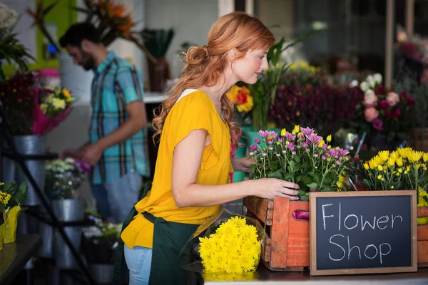 Florista feminino organizando buquê de flores — Fotografia de Stock