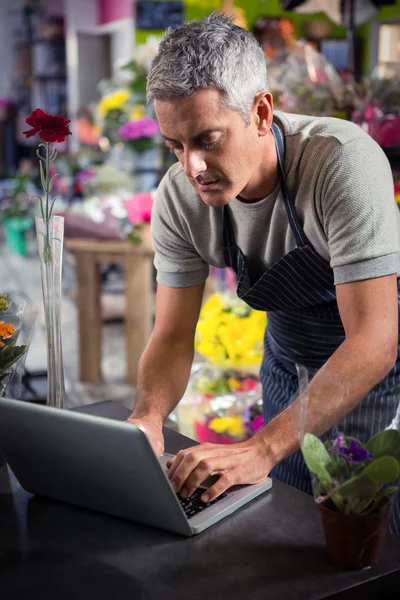 Férfi virágkötő használ laptop — Stock Fotó