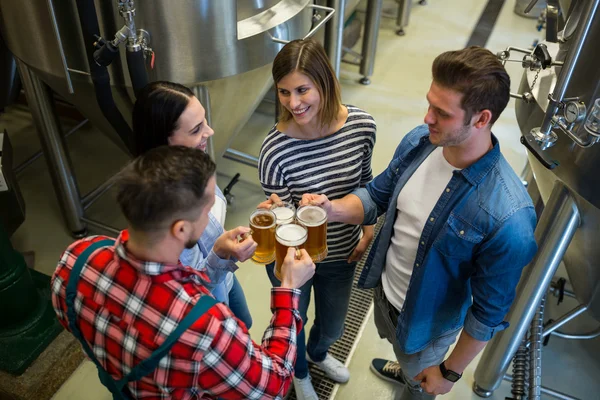 Cerveceros tostando cervezas en la cervecería — Foto de Stock