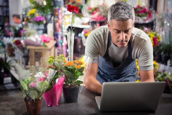 Floristería masculina usando computadora portátil —  Fotos de Stock