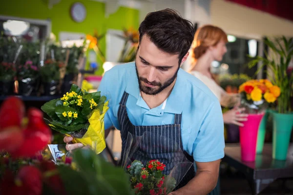 Fiorista maschio organizzare mazzo di fiori — Foto Stock