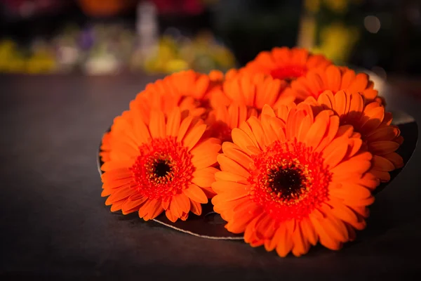 Primer plano de la flor naranja — Foto de Stock