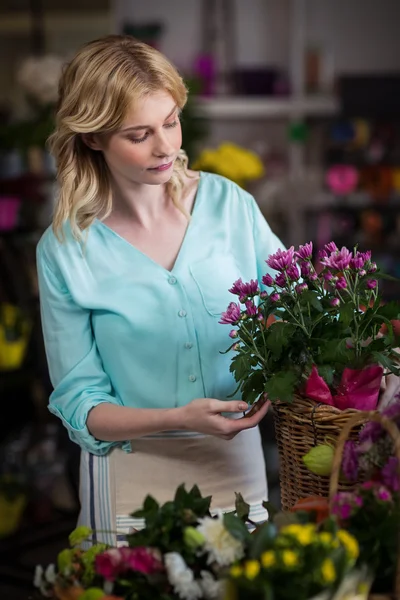 Florista feminino organizando flores em cesta — Fotografia de Stock