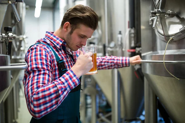 Brewer ruikende bier — Stockfoto