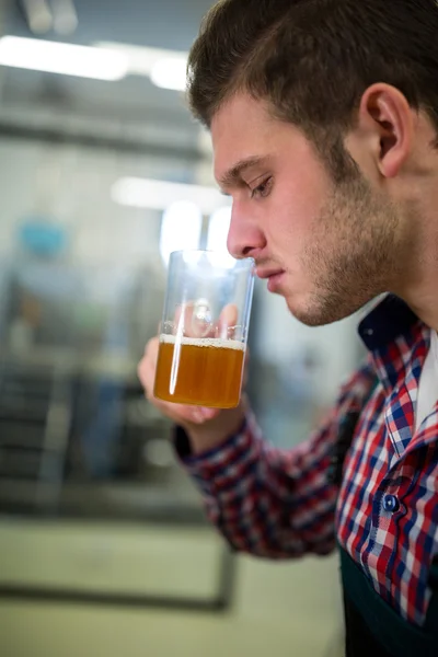 Brewer ruikende bier — Stockfoto