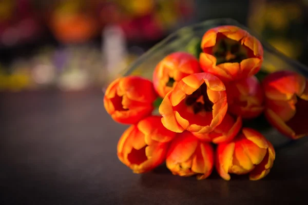 Primer plano de la flor de tulipán —  Fotos de Stock