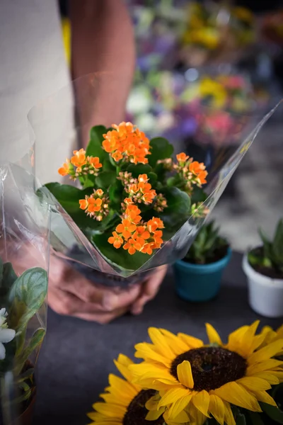 Чоловічий флорист тримає букет квітів у квітковому магазині — стокове фото