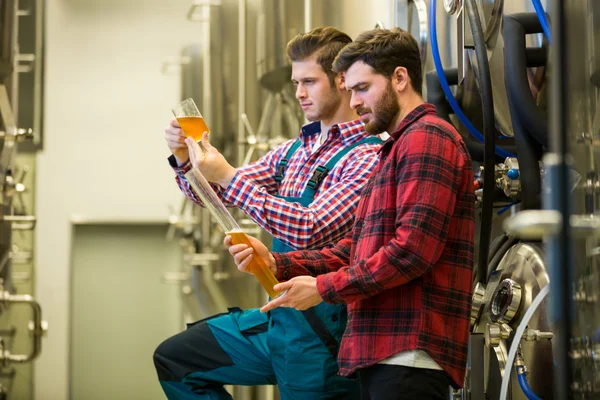 Cerveceros probando cerveza — Foto de Stock