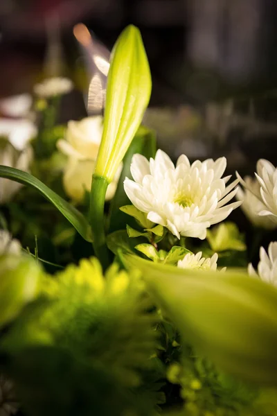 Närbild av blombukett — Stockfoto