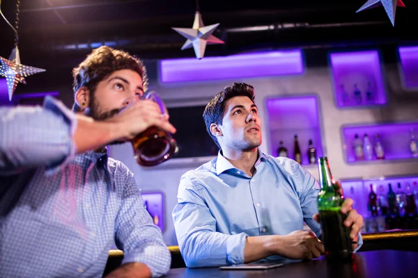 Amigos sentados no balcão do bar e tomando cerveja — Fotografia de Stock