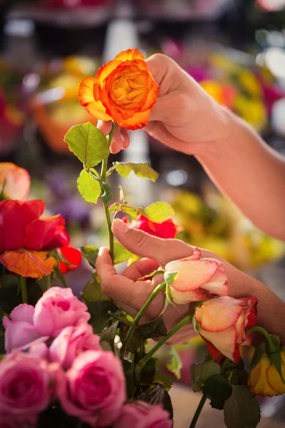 Detail lidská ruka hospodářství oranžové růže — Stock fotografie