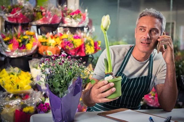 Manliga florist tar order på mobiltelefon — Stockfoto