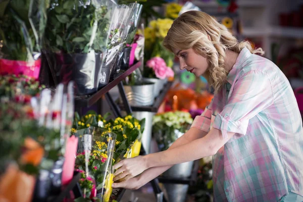 女性准备一束鲜花的花店 — 图库照片