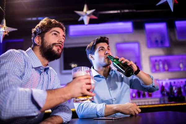 Друзі сидять за барною стійкою і мають пиво — стокове фото