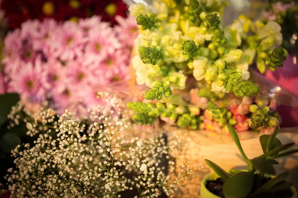 Close-up de vaso de plantas — Fotografia de Stock