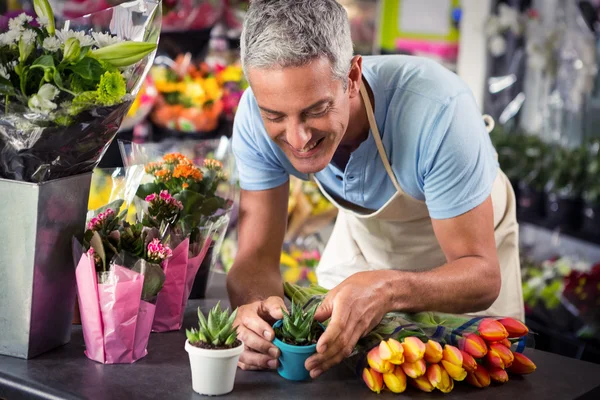 Manliga florist ordnande blomkruka — Stockfoto