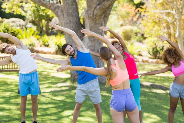 Grupo de amigos exercitando — Fotografia de Stock