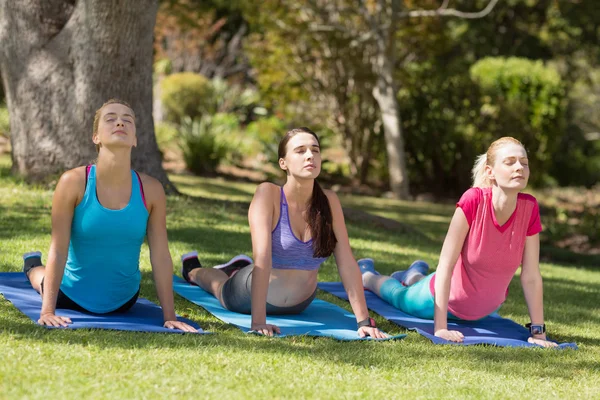 Jonge vrouwen doen yoga — Stockfoto