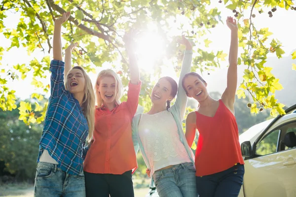 Grupo de amigos se divertindo no parque — Fotografia de Stock