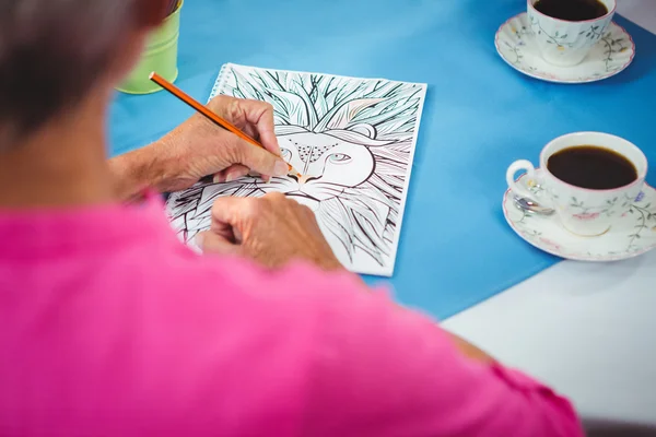 Lion drawing on a sheet of a paper Royalty Free Stock Photos
