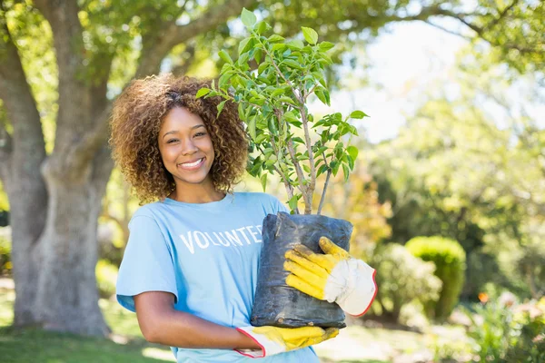 Potret wanita relawan memegang tanaman — Stok Foto
