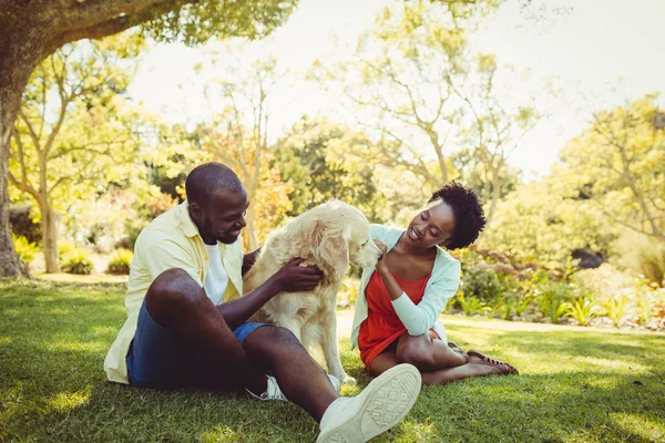 Casal posando com um cão — Fotografia de Stock