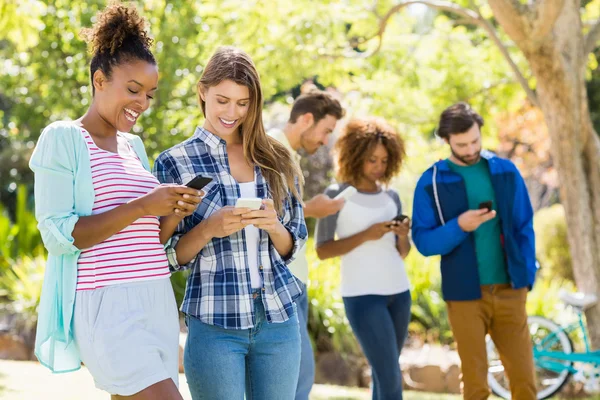 Group of friends using mobile phone — Stock Photo, Image