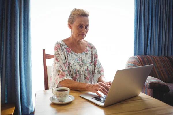 Portret koncentratu senior kobiety za pomocą laptopa — Zdjęcie stockowe