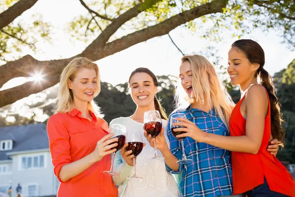 Schöne Frauen stoßen mit einem Glas Rotwein an — Stockfoto