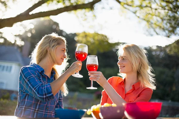 Schöne Frauen stoßen mit einem Glas Rotwein an — Stockfoto