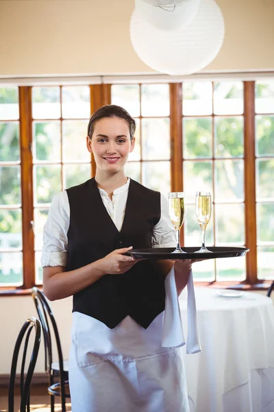 Retrato de garçonete segurando bandeja de serviço — Fotografia de Stock