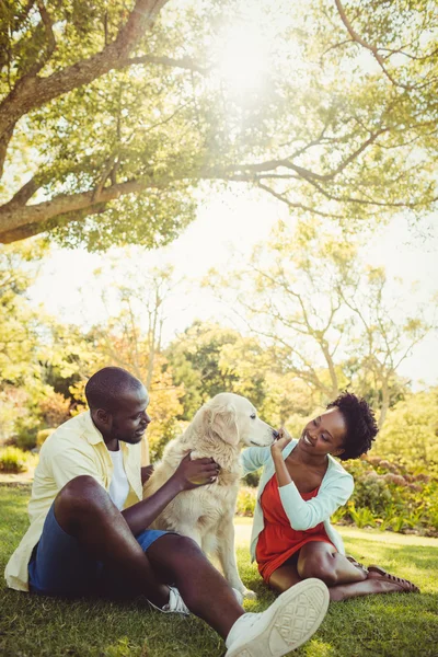 Coppia posa con un cane — Foto Stock