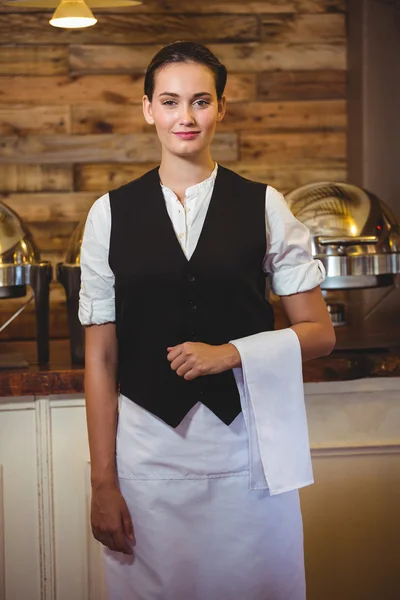 Chelneriță zâmbitoare în picioare — Fotografie, imagine de stoc