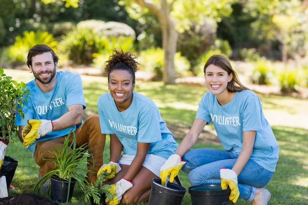 Retrato de plantación de grupo de voluntarios —  Fotos de Stock