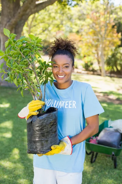 Portret van vrijwilliger vrouw met plant — Stockfoto