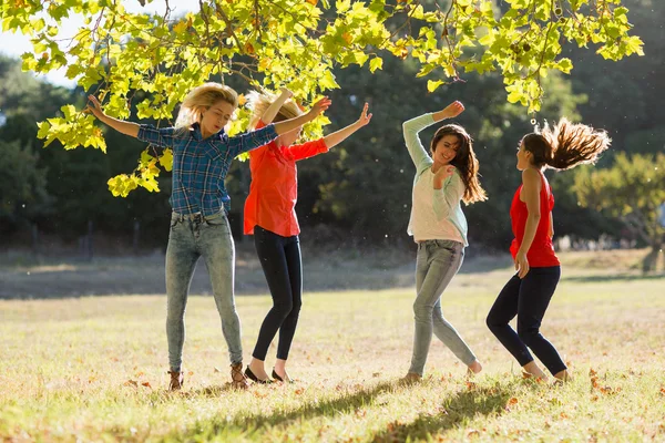 Groupe d'amis dansant dans le parc — Photo