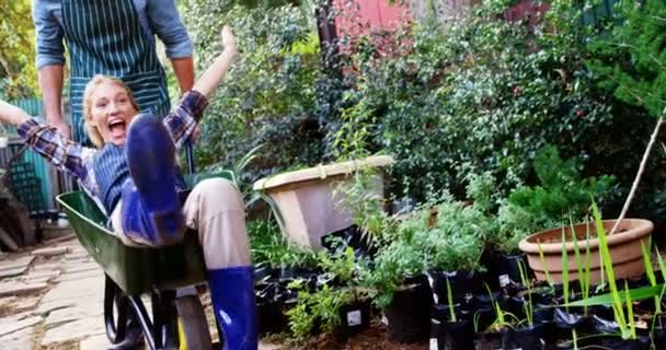 Mann gibt Gärtnerin Schubkarrenfahrt — Stockvideo