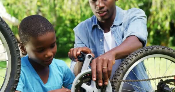 Man repairing bike with son — Stock Video