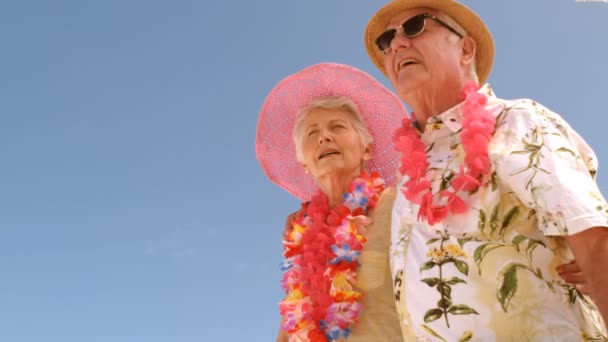 Pareja mayor en la playa — Vídeo de stock