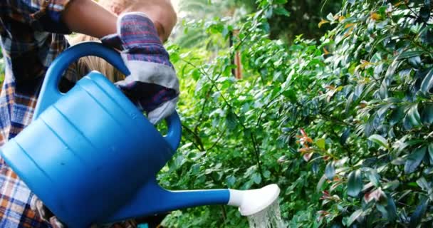 Gärtner gießt Pflanzen mit Gießkanne — Stockvideo