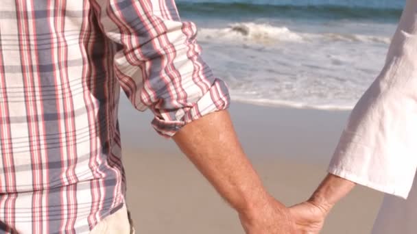 Ouderen paar bedrijf handen op het strand — Stockvideo