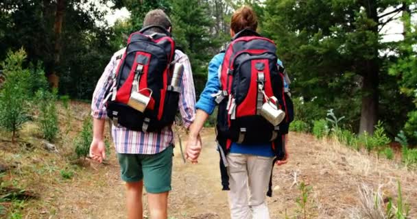 Pareja cogida de la mano — Vídeos de Stock