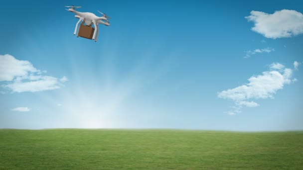 Drone está trayendo una caja de cartón — Vídeo de stock