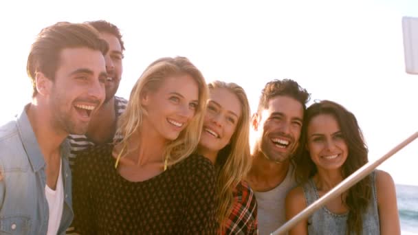 Seis personas tomando una selfie — Vídeo de stock