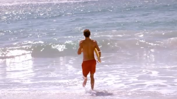 Surfer lopen in het water — Stockvideo