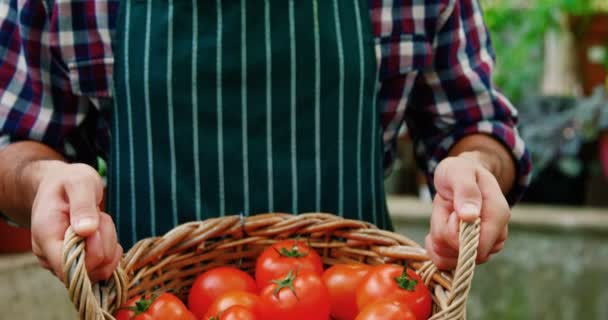 Homem segurando um cesto de tomates recém-colhidos — Vídeo de Stock