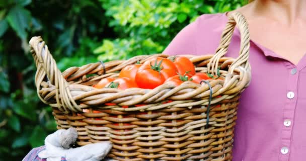 Женщина держит плетеную корзину с помидорами — стоковое видео