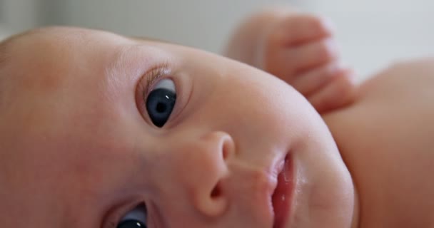 Cara de bebé acostado en un sofá blanco — Vídeo de stock